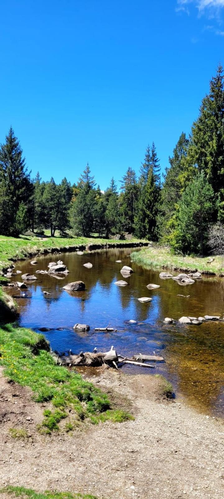 T2 Pic De L'Ours Fontromeu Lejlighed Eksteriør billede